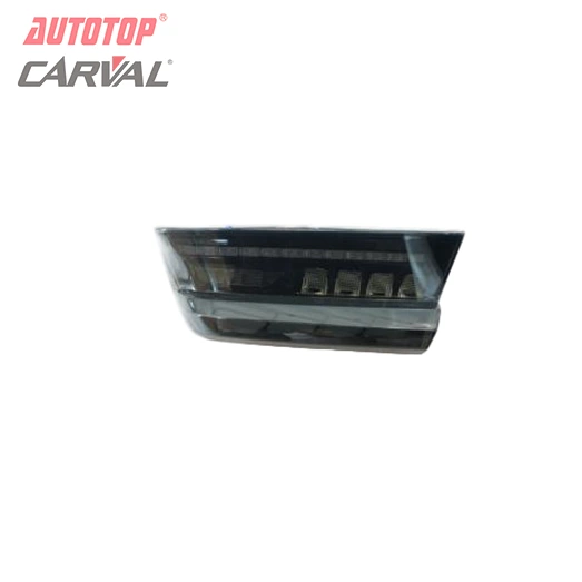 Задні ліхтар з лускай дракона для BMW New 3 Series G20/G28